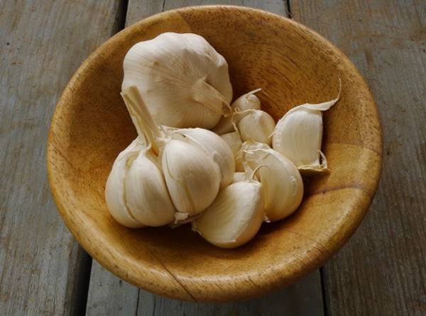 manfaat bawang putih untuk kulit