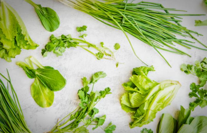 sayuran berdaun hijau untuk menaikkan trombosit