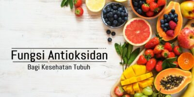 fungsi antioksidan