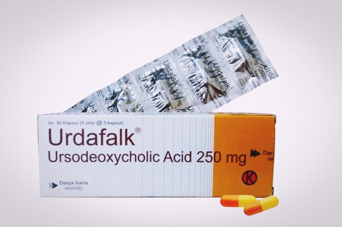 Ursodeoxycholic acid obat apa