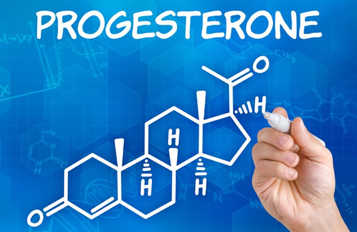 fungsi progesterone 